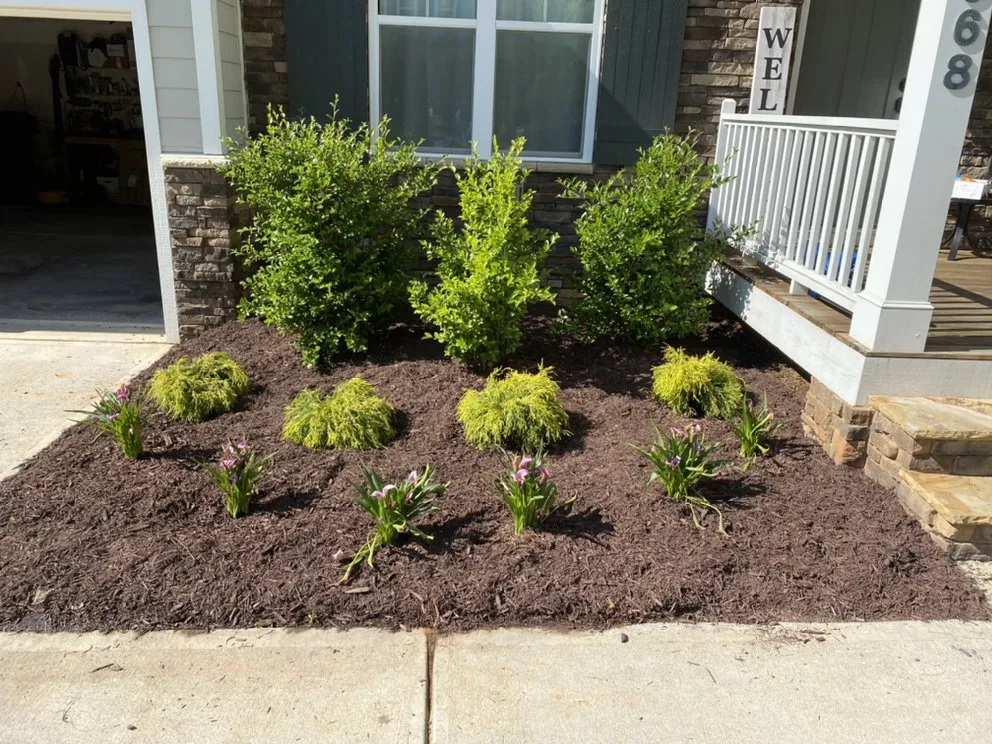 Reliable yard cleanup service in Cary, NC - Ramsey’s Lawncare Services