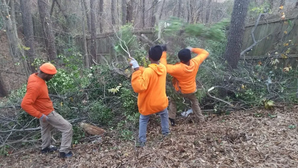 Local landscape installation for beautiful yards in Fayetteville, GA by Ramsey’s Professional Group
