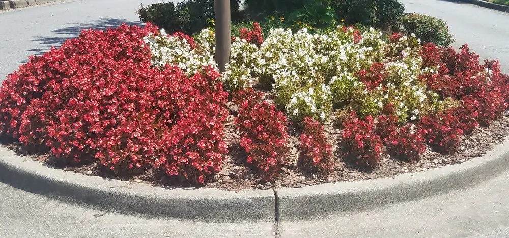 Reliable landscaping services with custom design across Fayetteville, GA - Ramsey’s Professional Group