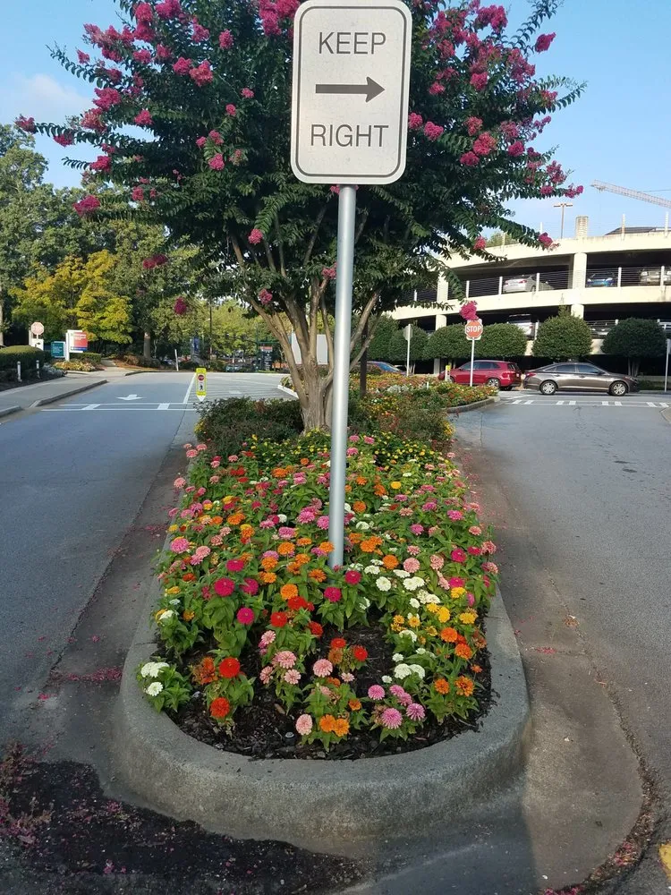 Affordable yard maintenance for year-round maintenance in Fayetteville, GA by Ramsey’s Professional Group