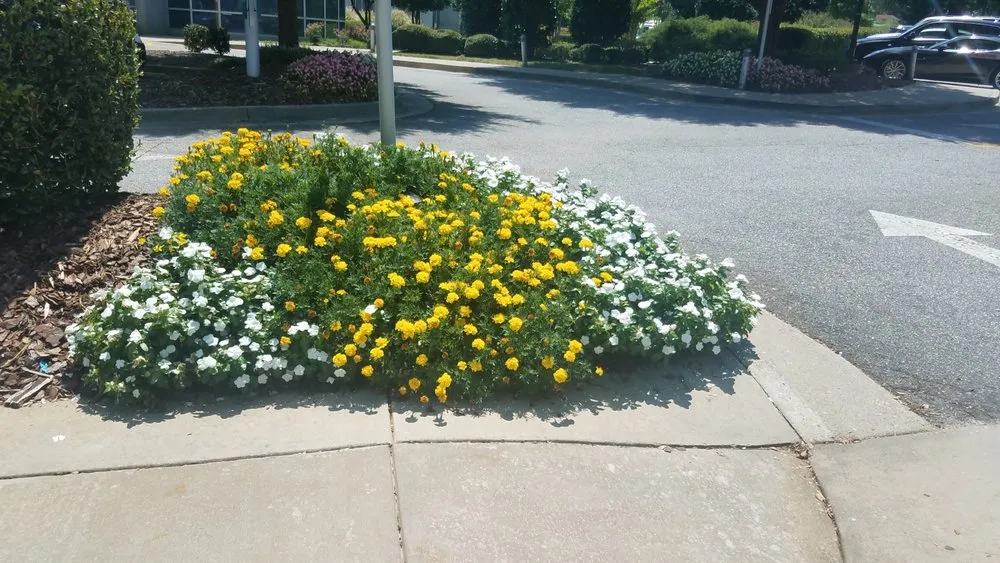 Affordable lawn mowing service for beautiful yards across Fayetteville, GA - Ramsey’s Professional Group