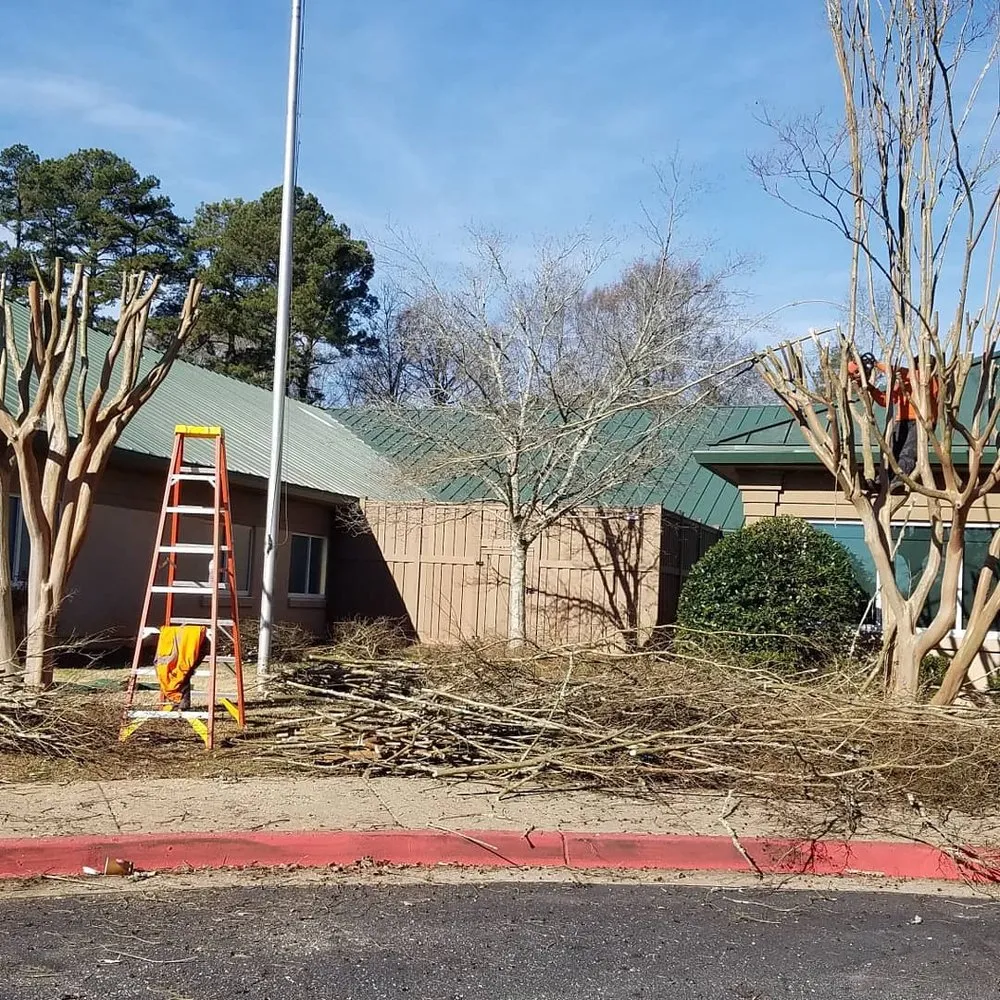 Trusted landscape installation for residential properties across Fayetteville, GA - Ramsey’s Professional Group