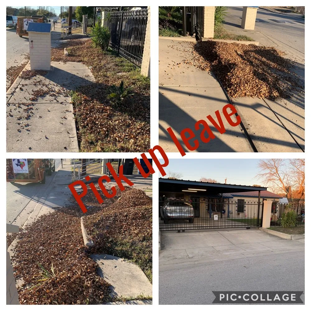 Custom landscape installation in San Antonio, TX by Ramz Star Tree Service And Lawn Care