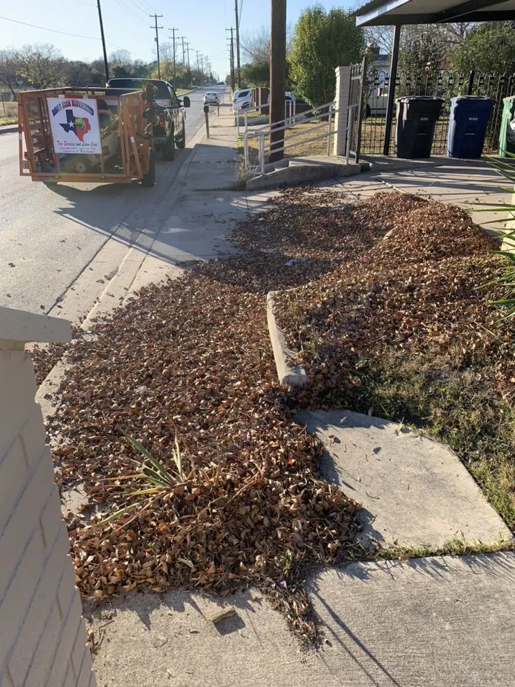 Custom outdoor landscaping in San Antonio, TX by Ramz Star Tree Service And Lawn Care