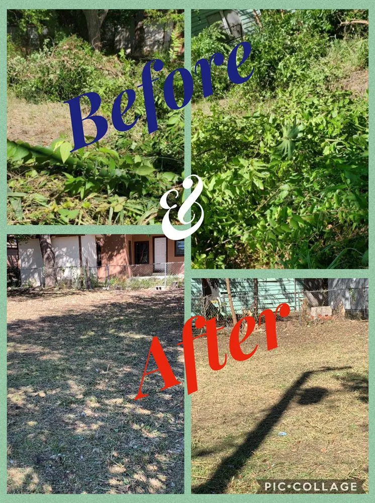 Expert garden landscaping for homes across San Antonio, TX - Ramz Star Tree Service And Lawn Care