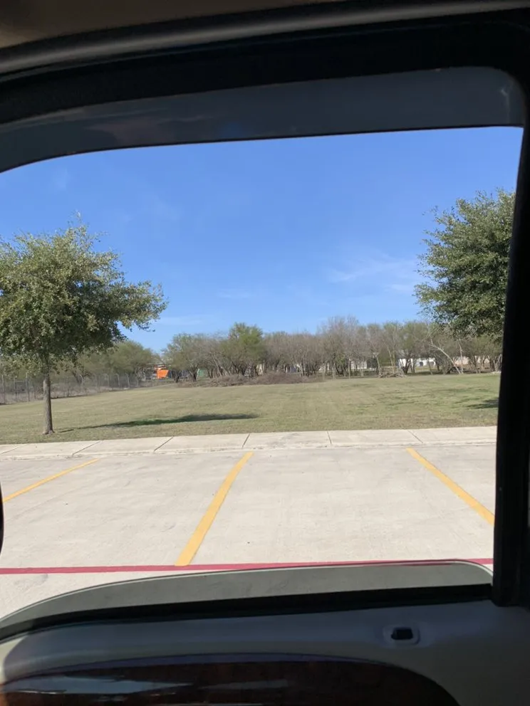 Top-rated lawn mowing service in San Antonio, TX - Ramz Star Tree Service And Lawn Care