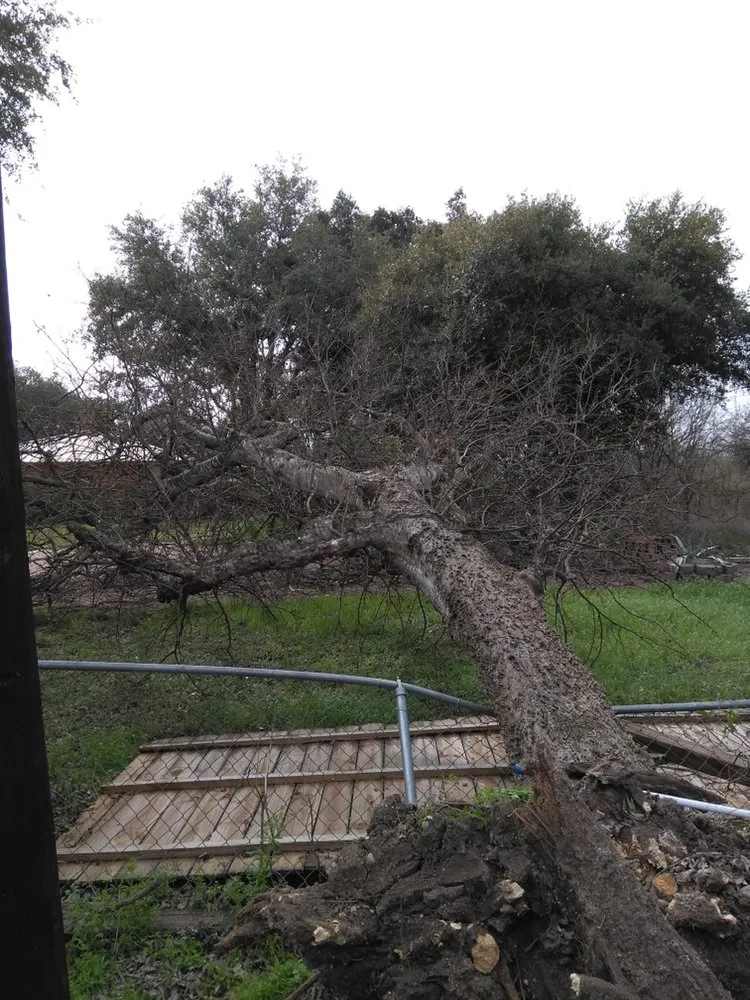 Professional landscape design experts serving San Antonio, TX - Ramz Star Tree Service And Lawn Care