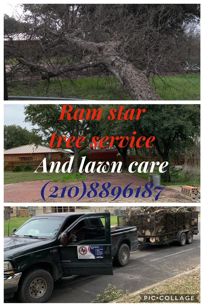 Professional yard maintenance in San Antonio, TX by Ramz Star Tree Service And Lawn Care