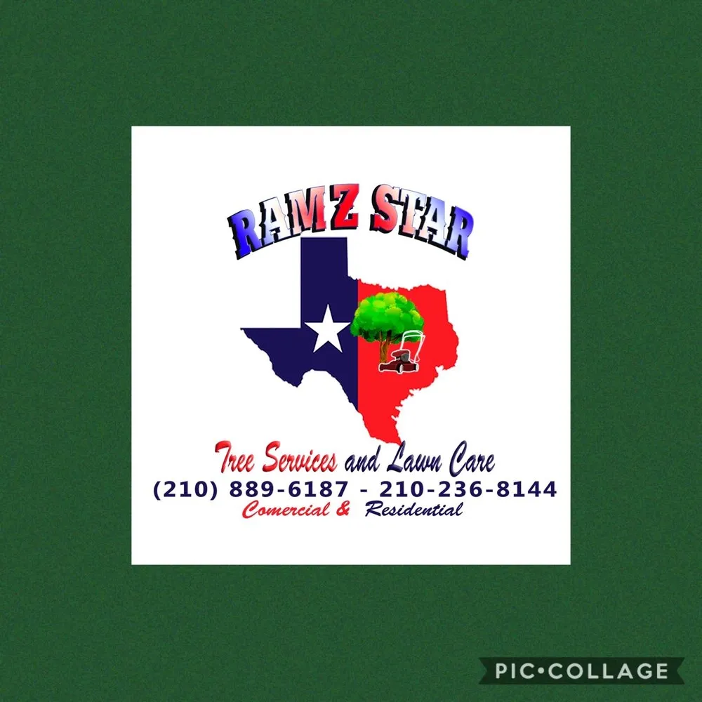 Reliable yard cleanup service for year-round maintenance across San Antonio, TX - Ramz Star Tree Service And Lawn Care