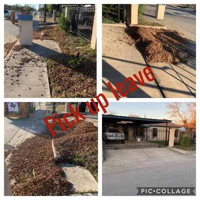 Ramz Star Tree Service And Lawn Care Logo