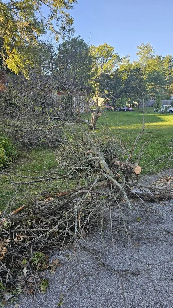 Local residential landscaping in West Lafayette, IN - Ramzz Lawnz