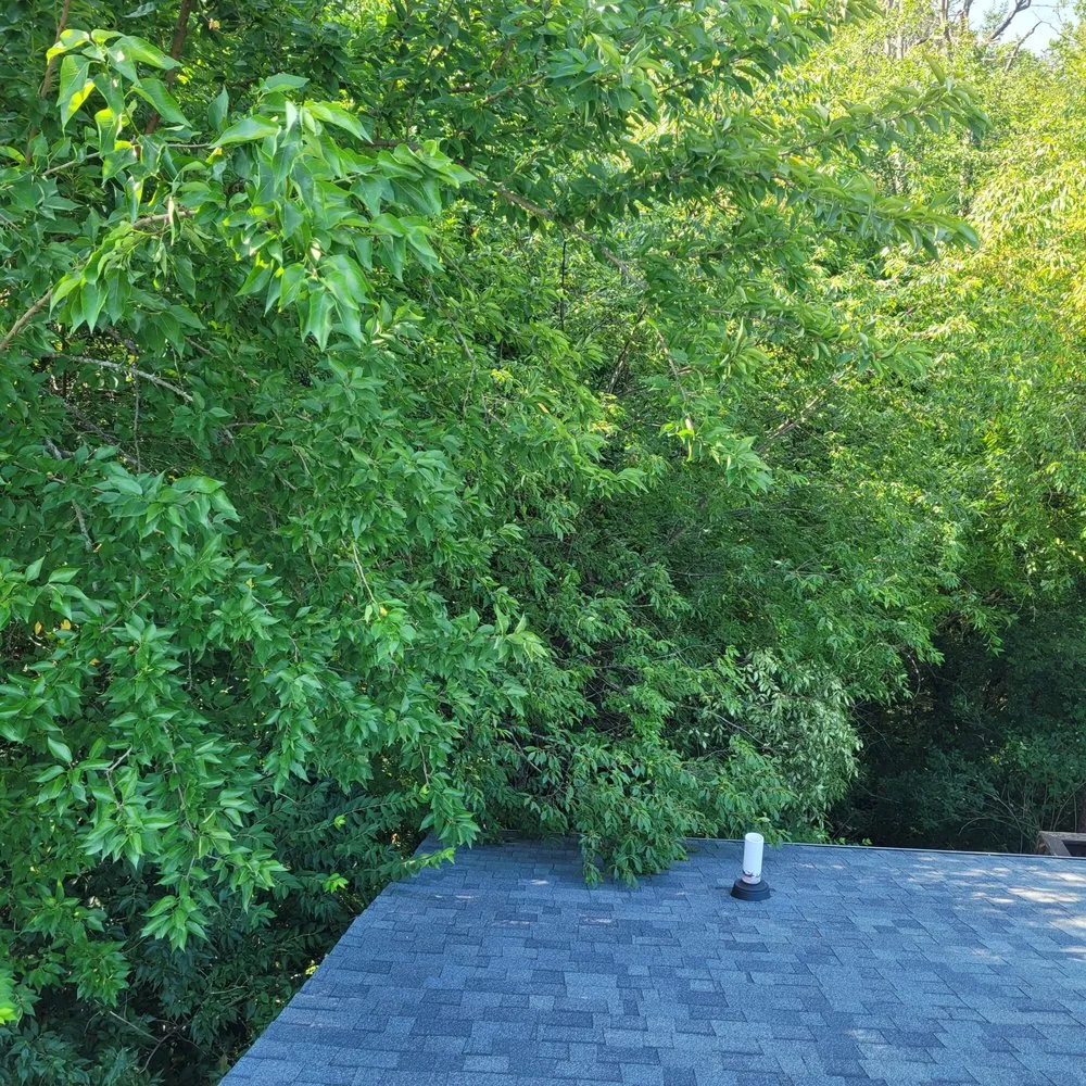 Professional lawn care service in West Lafayette, IN by Ramzz Lawnz