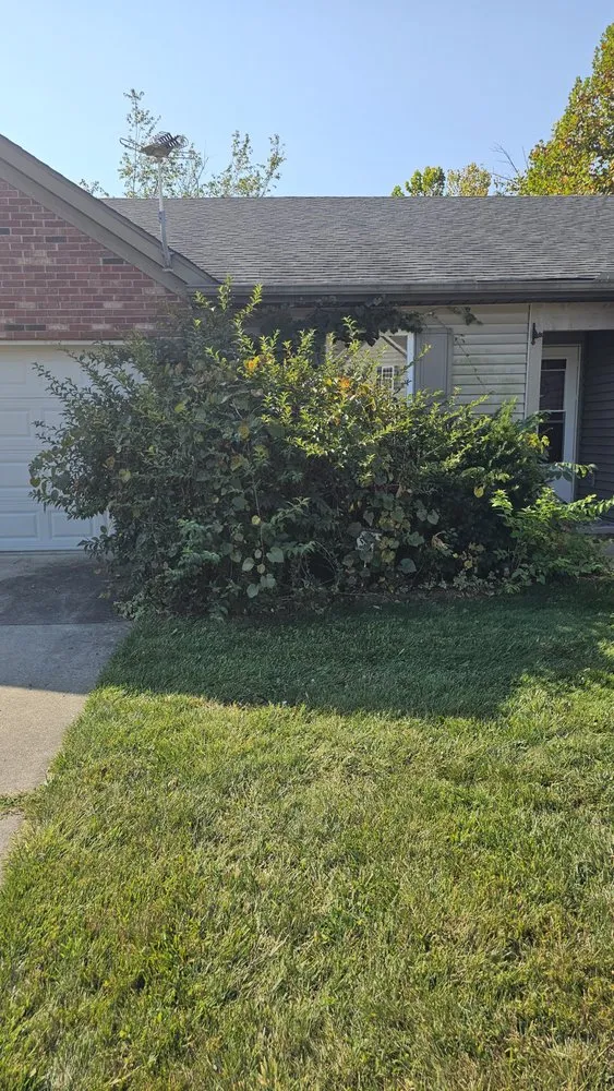 Custom yard maintenance experts serving West Lafayette, IN - Ramzz Lawnz