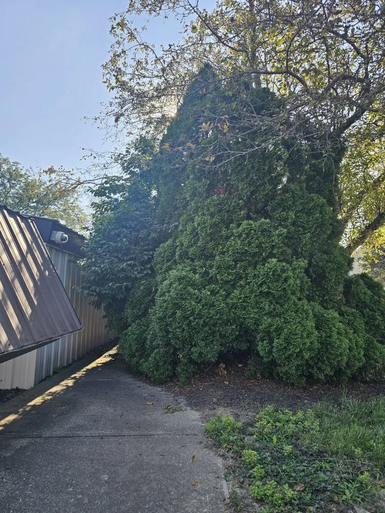 Trusted residential landscaping for outdoor upgrades across West Lafayette, IN - Ramzz Lawnz