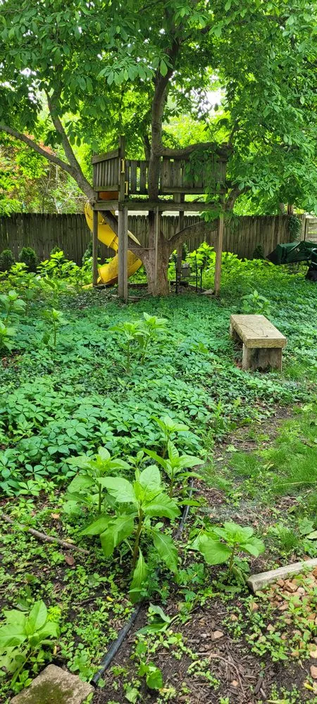 Top-rated outdoor landscaping in West Lafayette, IN by Ramzz Lawnz