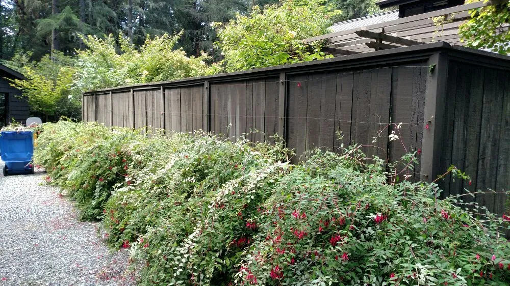 Professional lawn mowing service for homes in Burien, WA by Rances Lawn Care