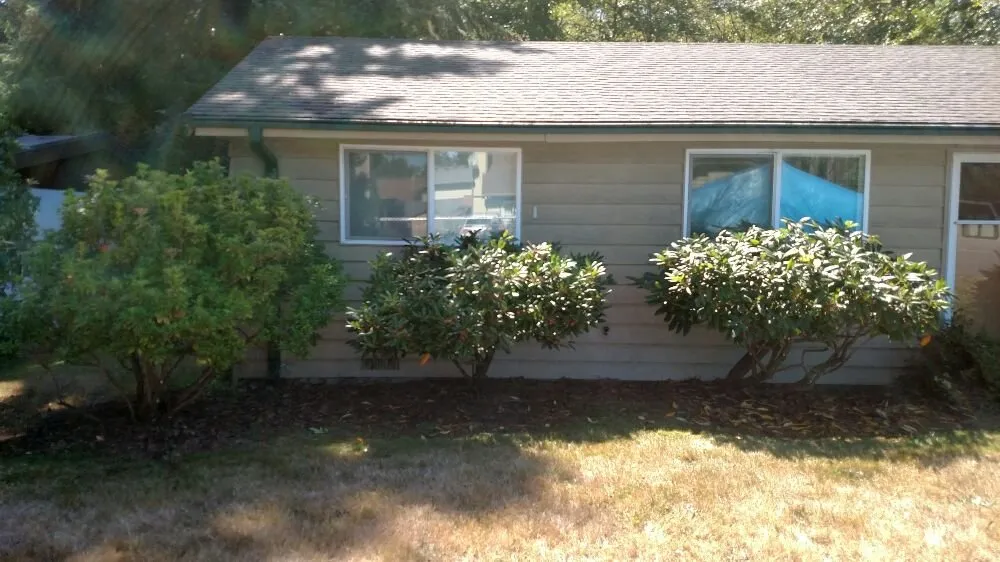 Reliable yard cleanup service in Burien, WA by Rances Lawn Care