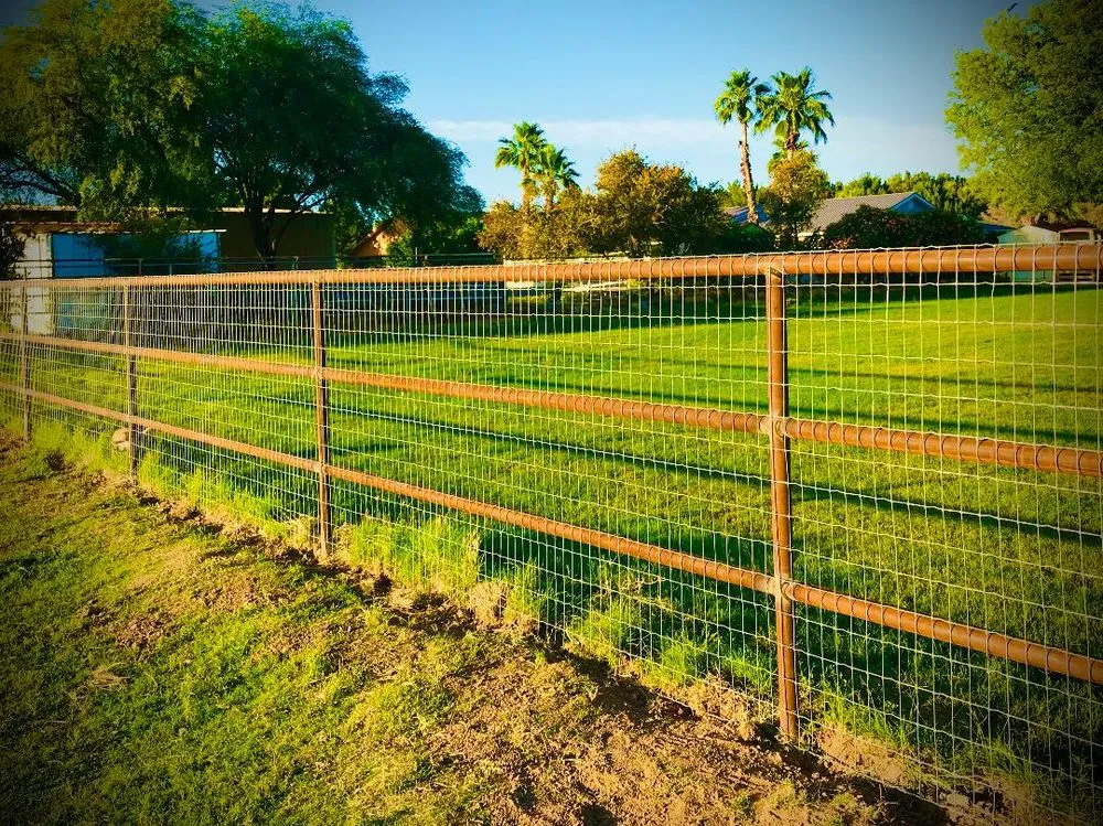 Expert lawn care service for homes across Waddell, AZ - Ranch Hand Services