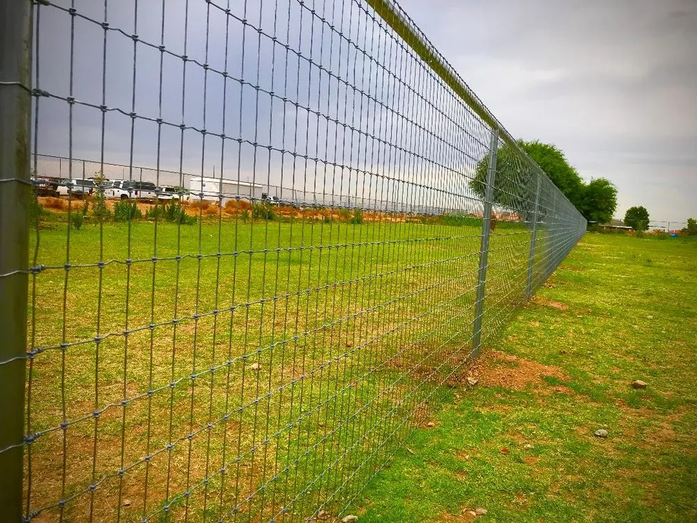 Local garden landscaping for beautiful yards in Waddell, AZ by Ranch Hand Services