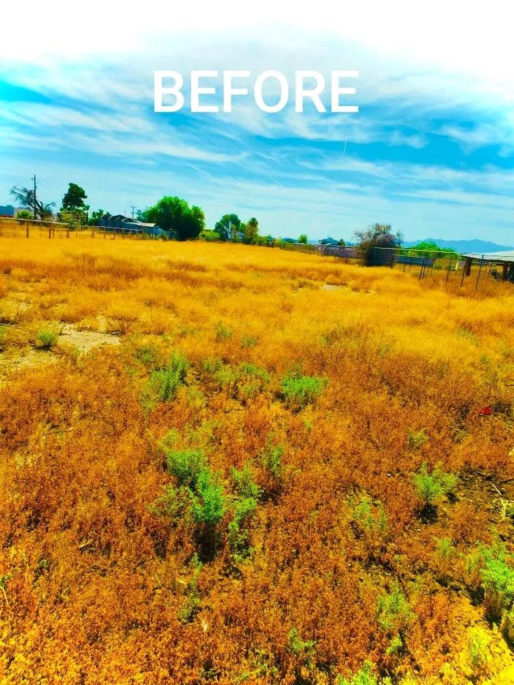 Trusted landscape design experts serving Waddell, AZ - Ranch Hand Services