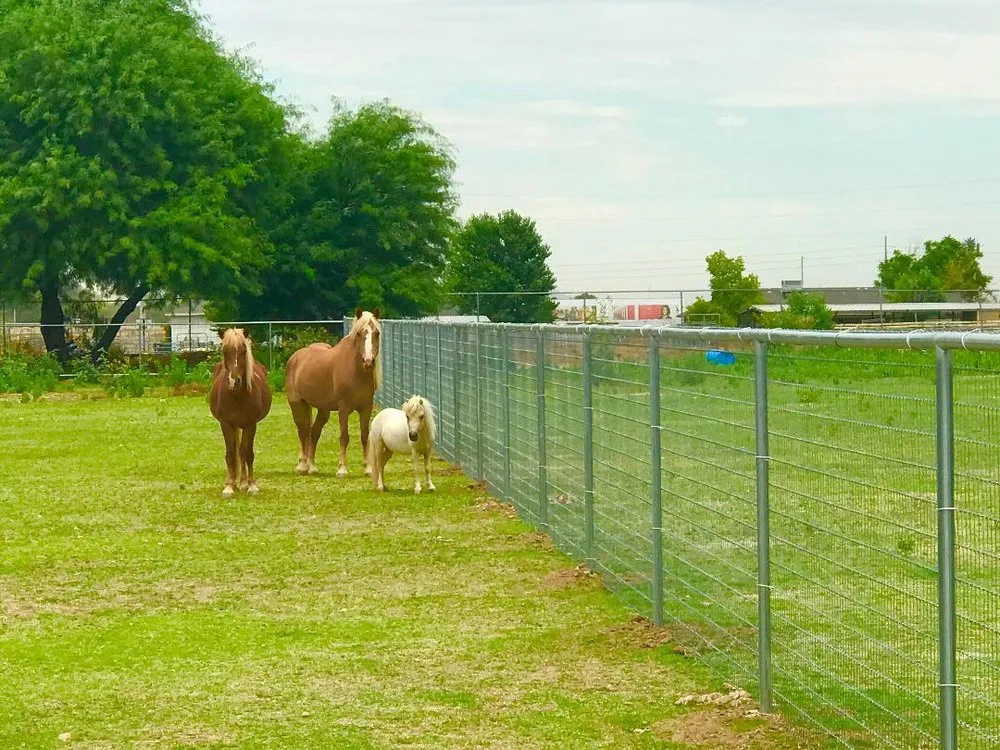 Professional residential landscaping experts serving Waddell, AZ - Ranch Hand Services