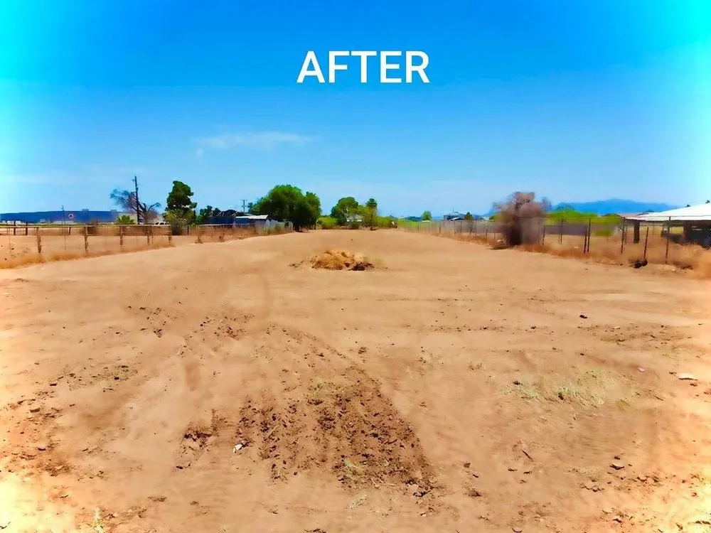 Expert lawn mowing service in Waddell, AZ - Ranch Hand Services