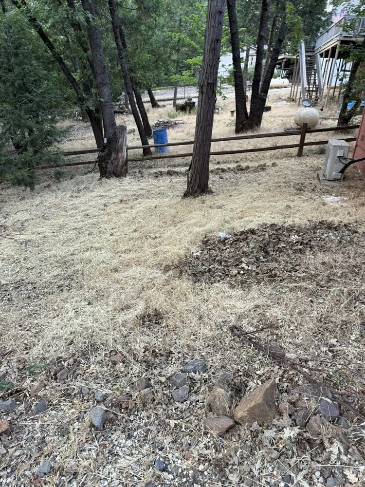 Expert landscape installation experts serving Oroville, CA - Ranch Hands Yard & Haul