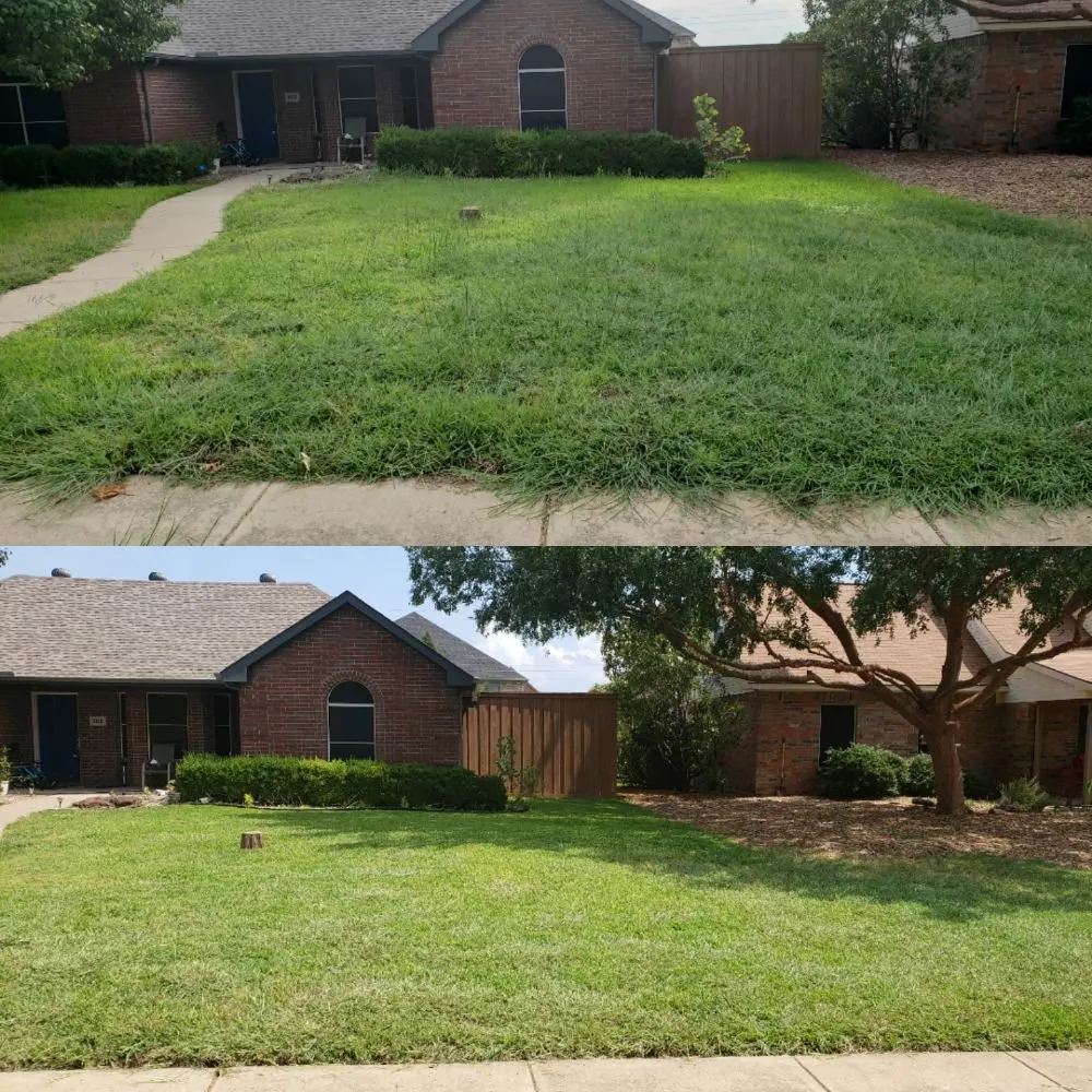 Top-rated yard maintenance with custom design across Richardson, TX - Ranch Land Lawn Services