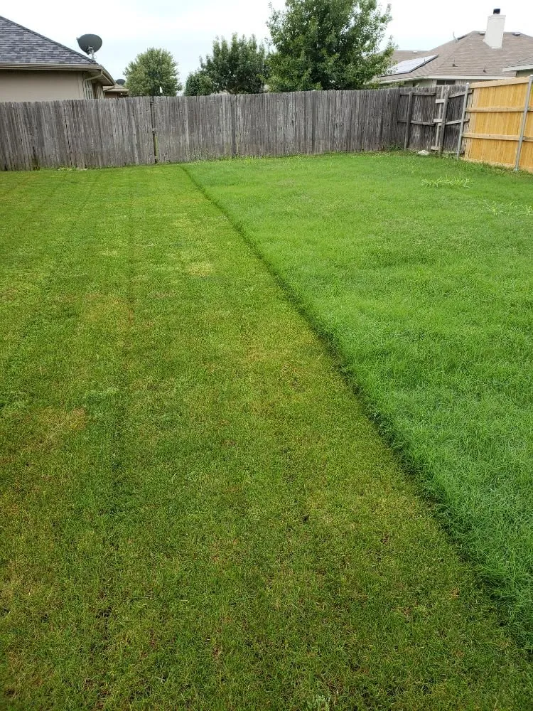 Professional residential landscaping for residential properties across Richardson, TX - Ranch Land Lawn Services