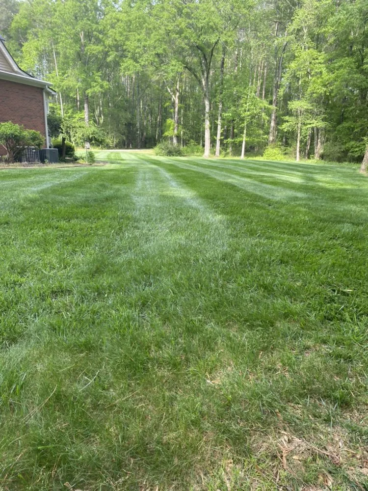 Expert lawn care service in Trion, GA by Ranch Landscaping