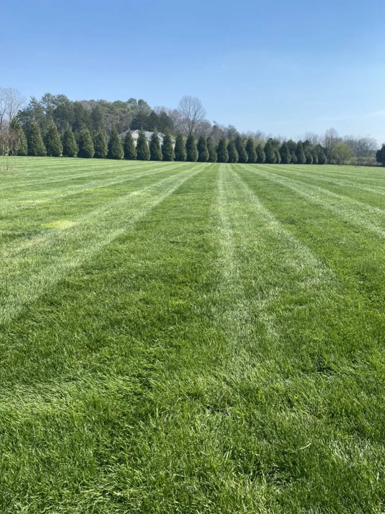 Expert landscaping services in Trion, GA by Ranch Landscaping