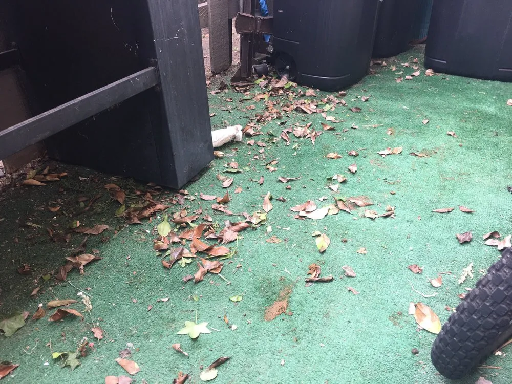 Professional yard cleanup service for year-round maintenance across Gardena, CA - Rancho California Landscaping