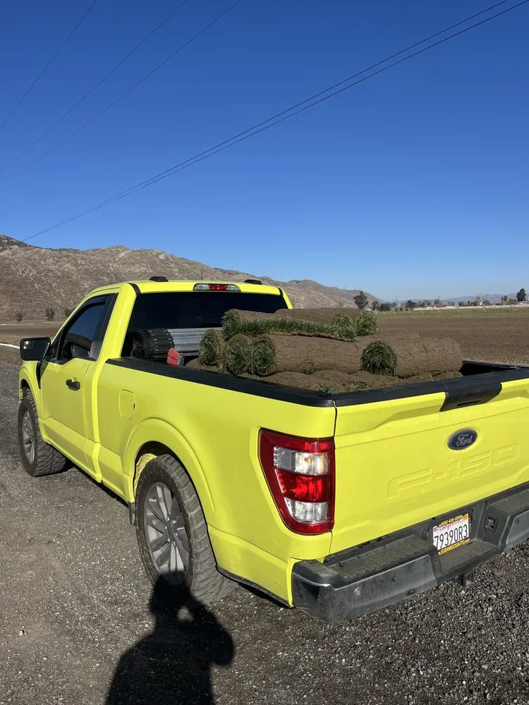 Professional outdoor landscaping for outdoor upgrades in Hemet, CA by Rancho Landscaping