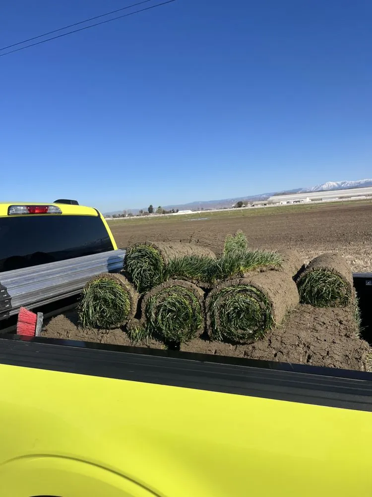 Affordable garden landscaping for beautiful yards in Hemet, CA by Rancho Landscaping