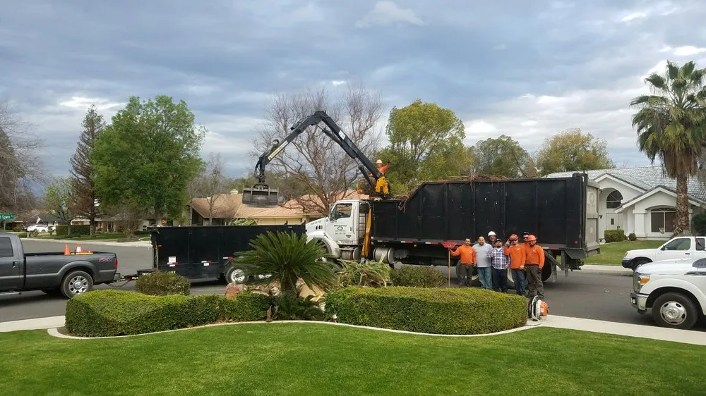 Professional landscaping services in Bakersfield, CA by Rancho Tree Service
