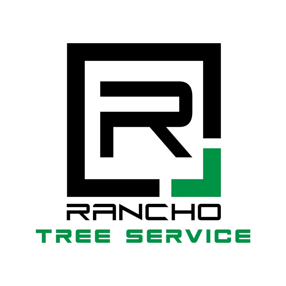 Trusted landscaping services in Bakersfield, CA - Rancho Tree Service