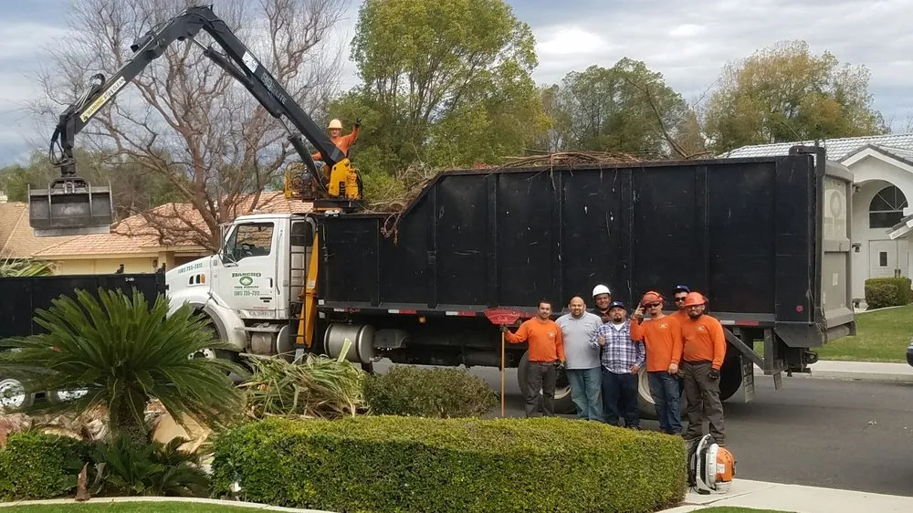 Affordable landscape installation experts serving Bakersfield, CA - Rancho Tree Service