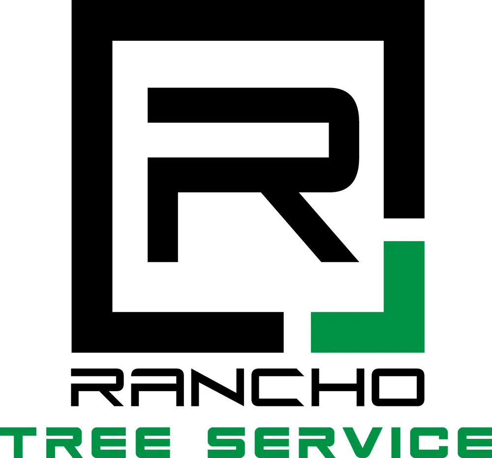 Affordable landscaping services in Bakersfield, CA by Rancho Tree Service