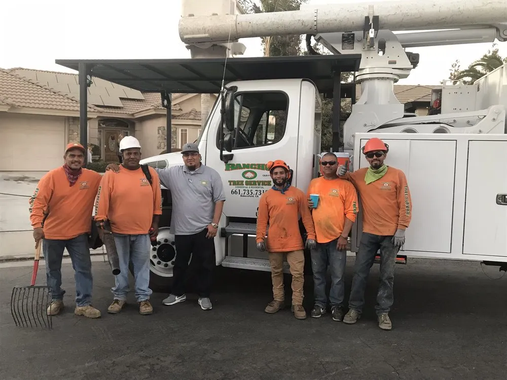 Reliable outdoor landscaping for residential properties across Bakersfield, CA - Rancho Tree Service