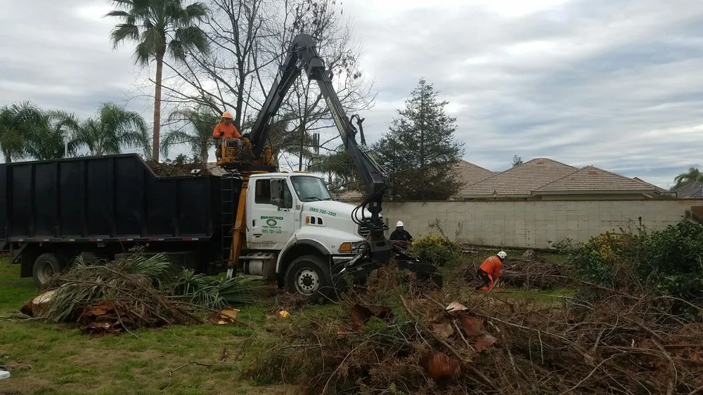 Reliable outdoor landscaping in Bakersfield, CA by Rancho Tree Service