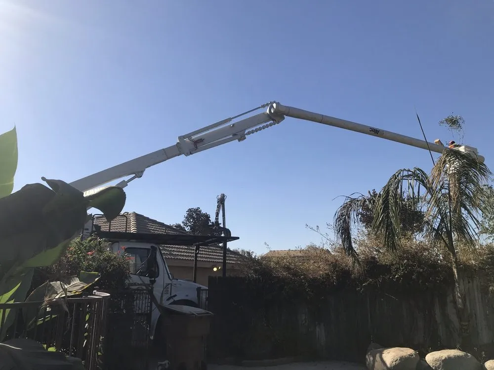 Local residential landscaping in Bakersfield, CA - Rancho Tree Service