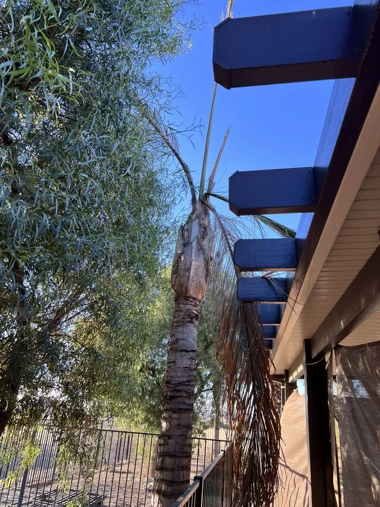 Affordable lawn mowing service for beautiful yards across Bakersfield, CA - Rancho Tree Service