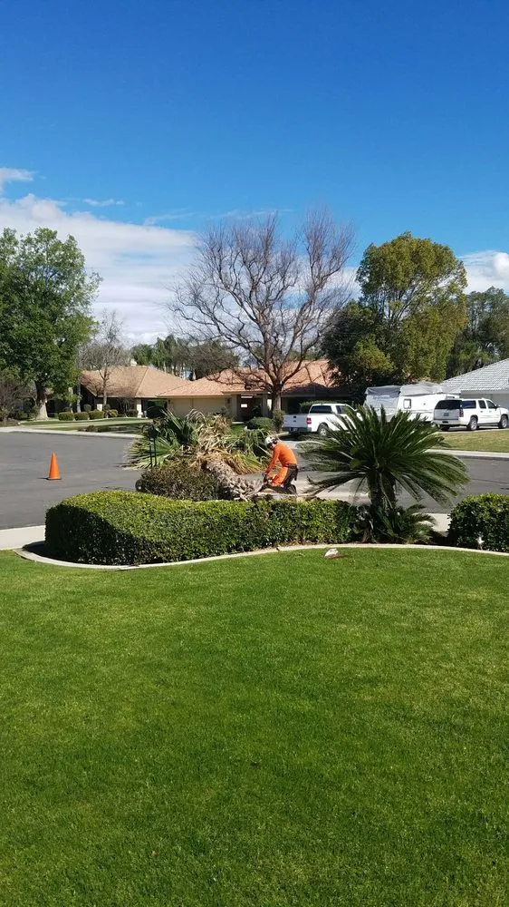 Local lawn mowing service experts serving Bakersfield, CA - Rancho Tree Service