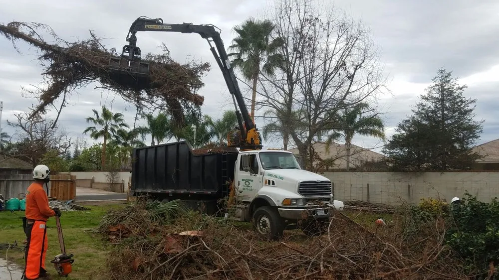 Reliable yard maintenance with custom design across Bakersfield, CA - Rancho Tree Service