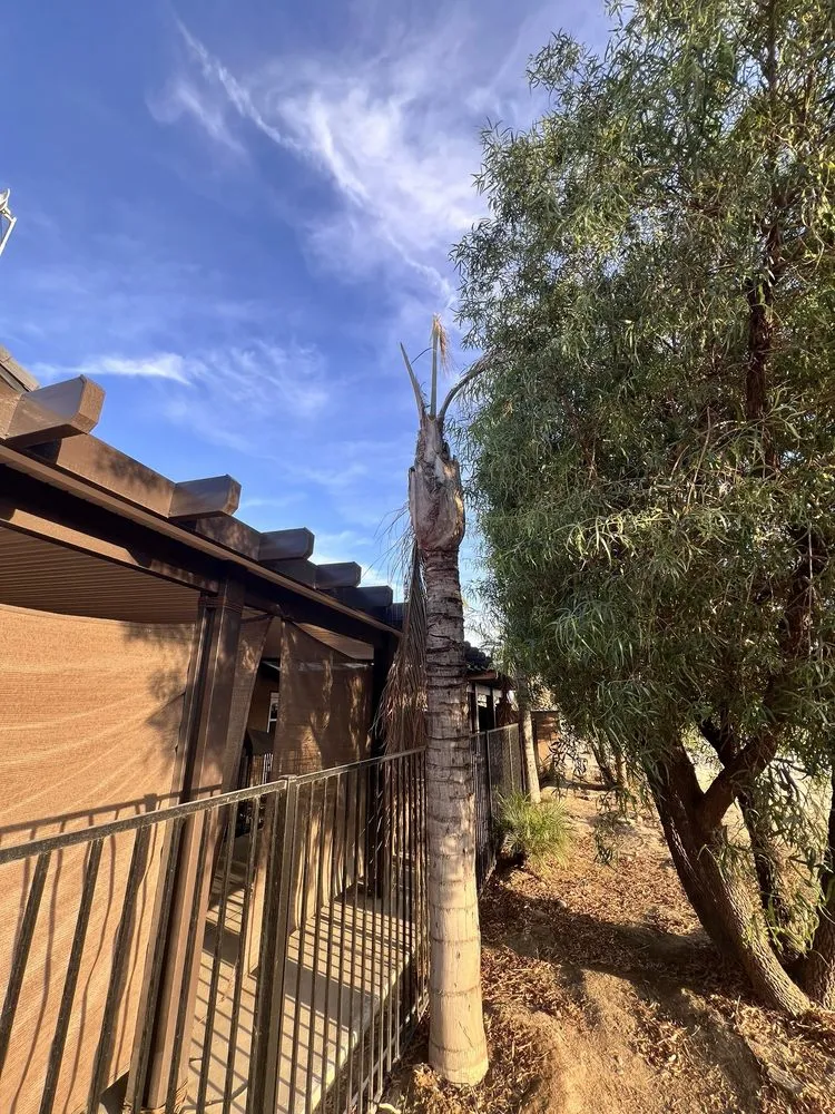 Custom garden landscaping in Bakersfield, CA by Rancho Tree Service