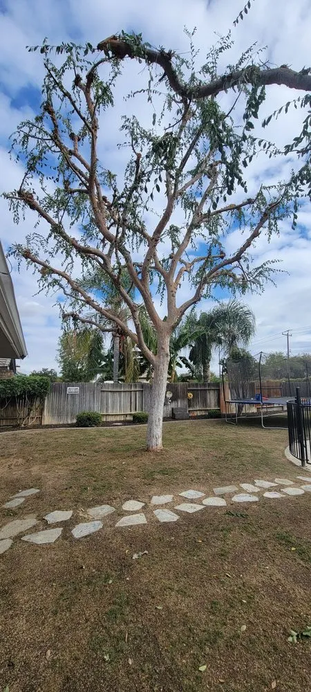 Affordable garden landscaping for residential properties in Bakersfield, CA by Rancho Tree Service