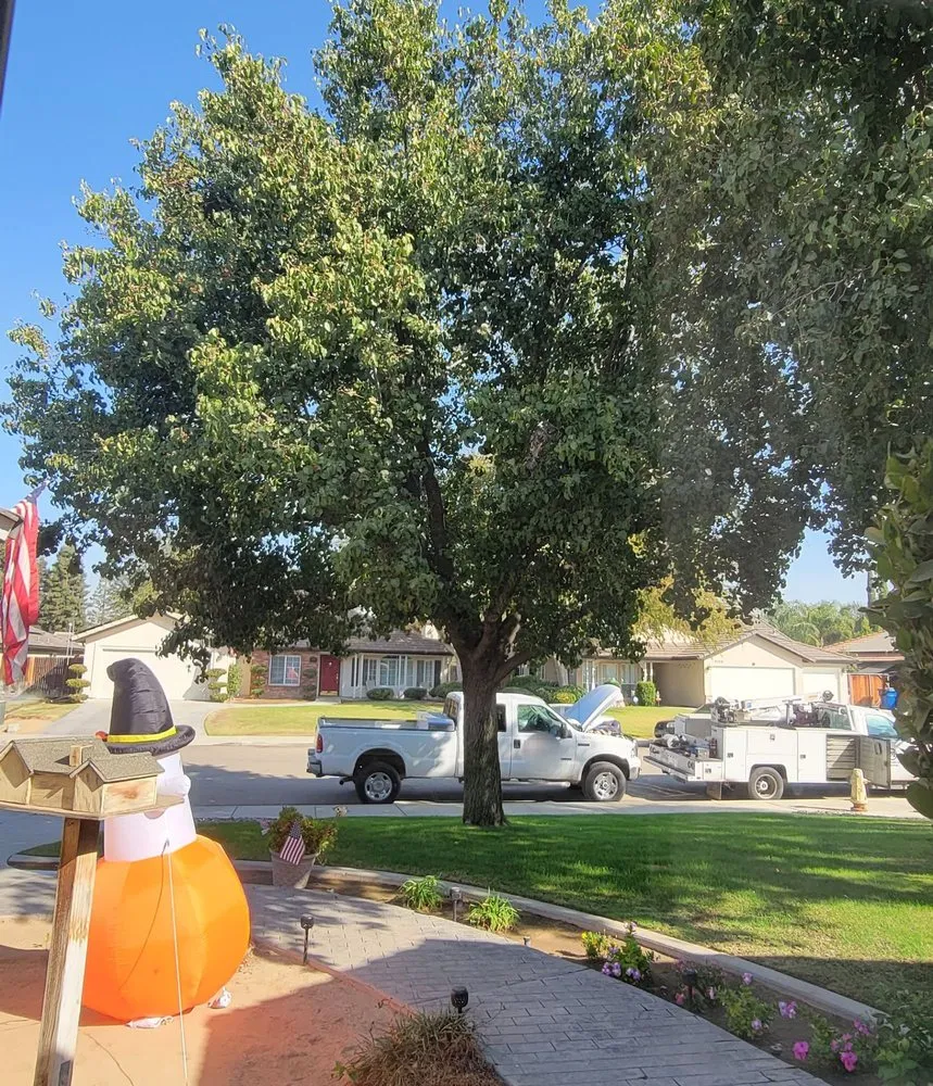 Custom outdoor landscaping near you across Bakersfield, CA - Rancho Tree Service