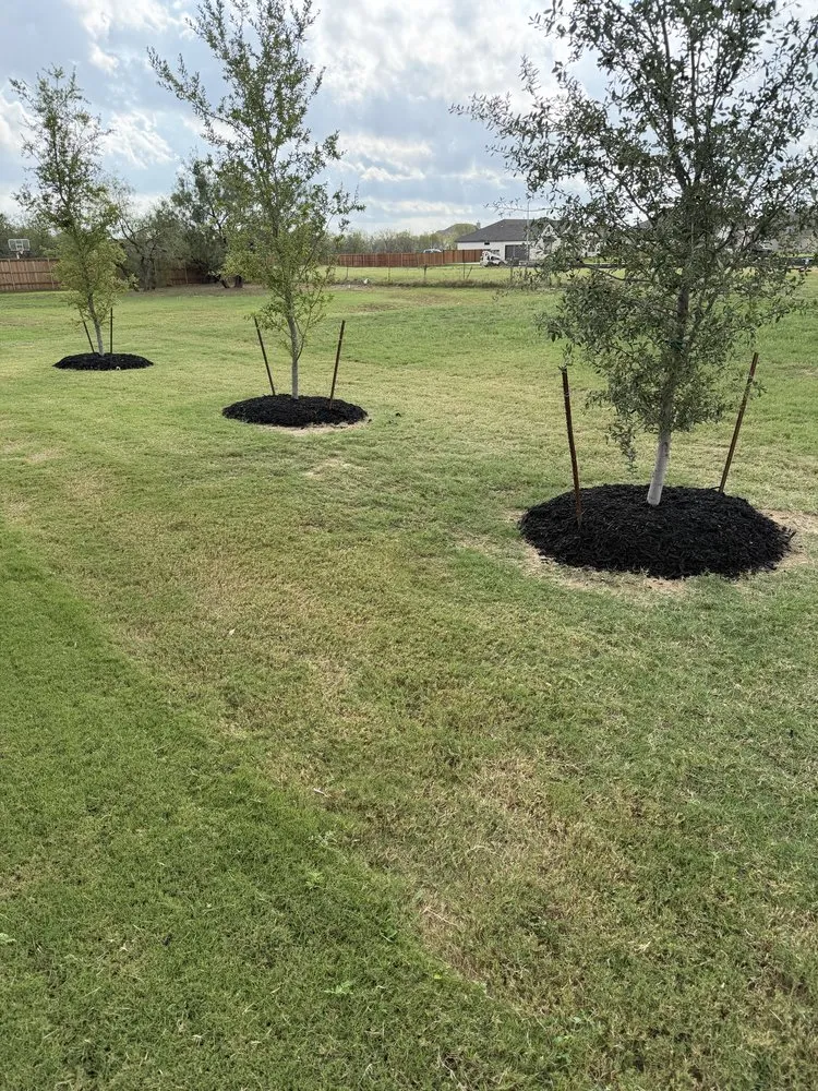 Reliable garden landscaping for outdoor upgrades in Adkins, TX by RanchRock Landscaping