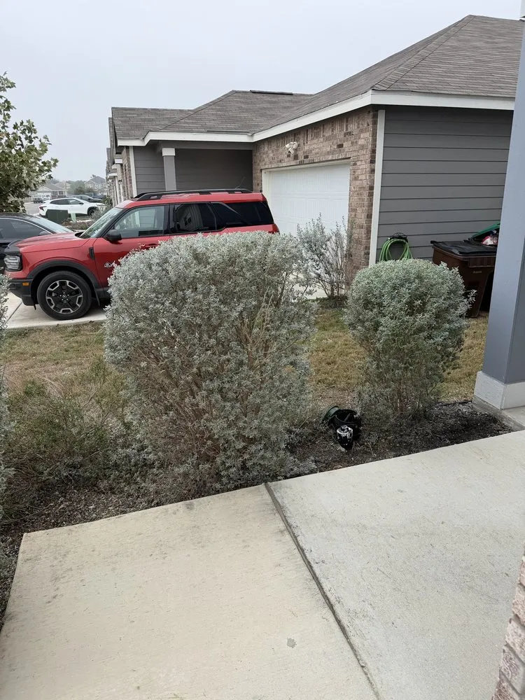 Trusted yard cleanup service in Adkins, TX - RanchRock Landscaping