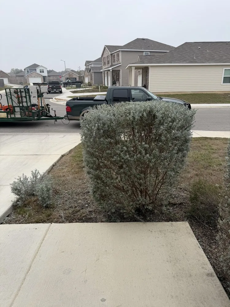 Top-rated landscape design experts serving Adkins, TX - RanchRock Landscaping